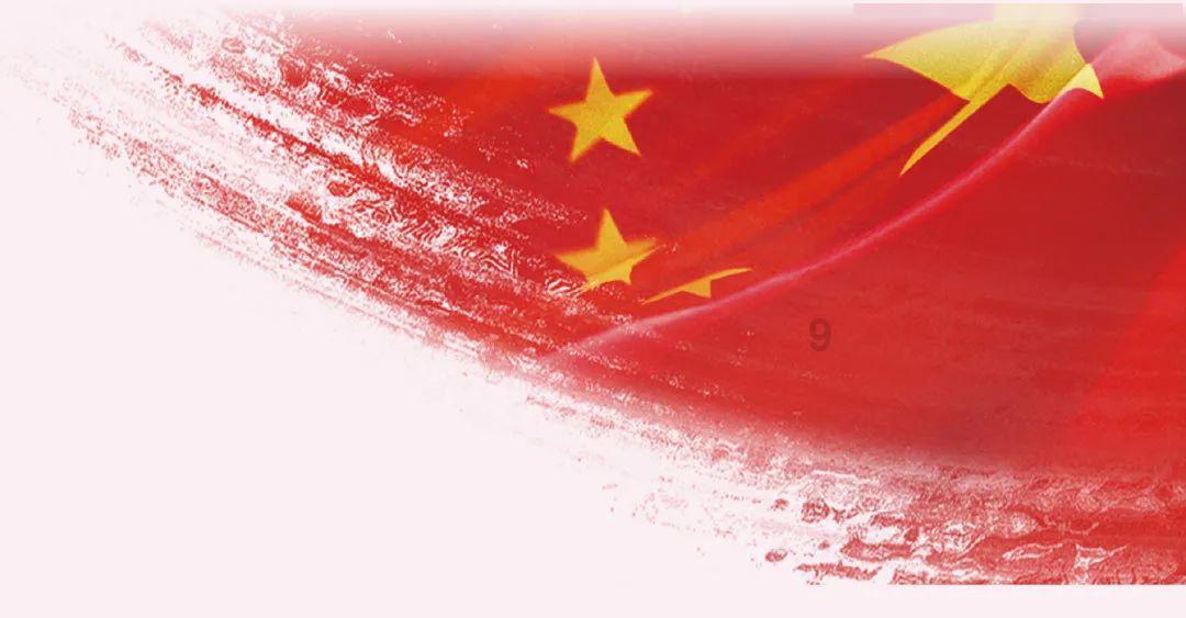 救援小袋熊